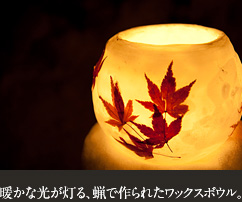 暖かな光が灯る、蝋で作られたワックスボウル。